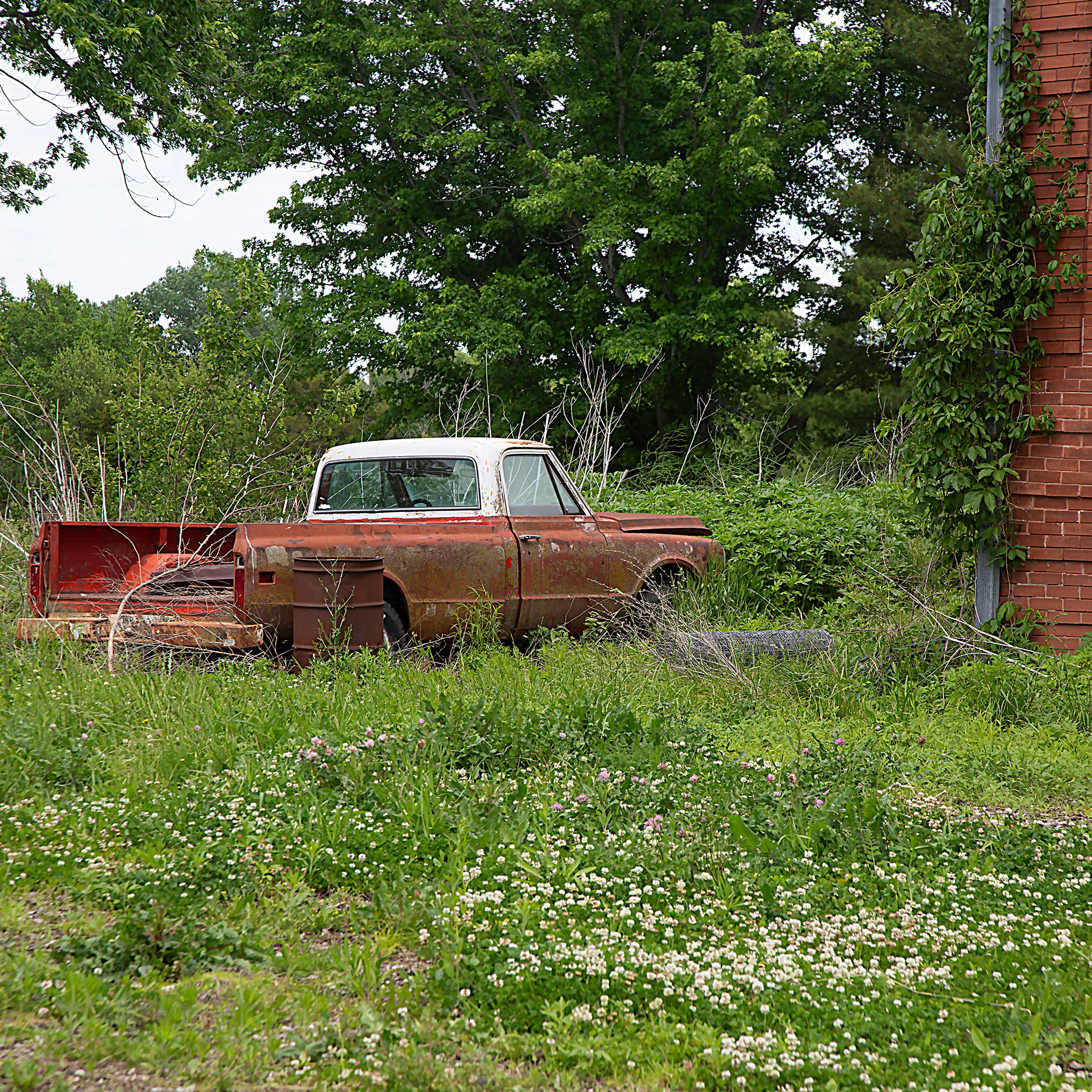 Chevrolet C10 rotting in a yard